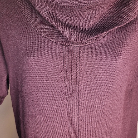 Lands End Merino Wool Cowl Neck Sweater Dress size XSmall Petite - Picture 4 of 8